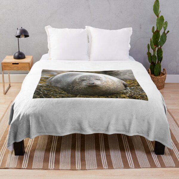 Item preview, Grey seal designed and sold by pietrofoto.