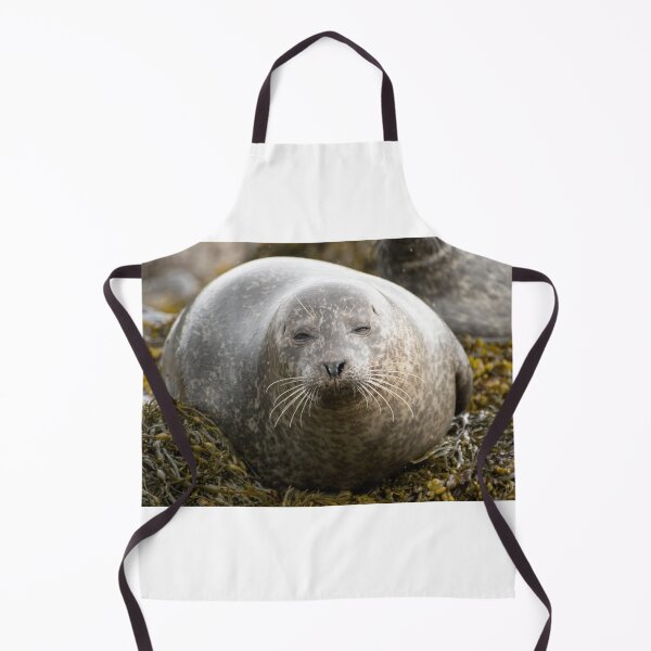 Item preview, Grey seal designed and sold by pietrofoto.