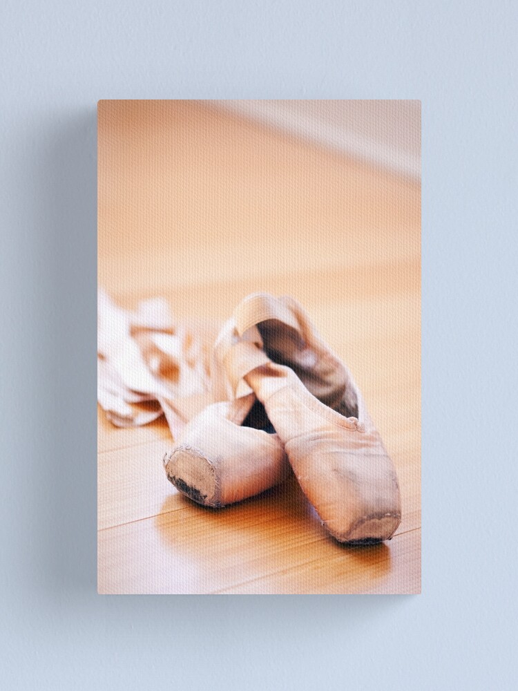 Pink Ballet Dance Slippers Pointe Shoes 