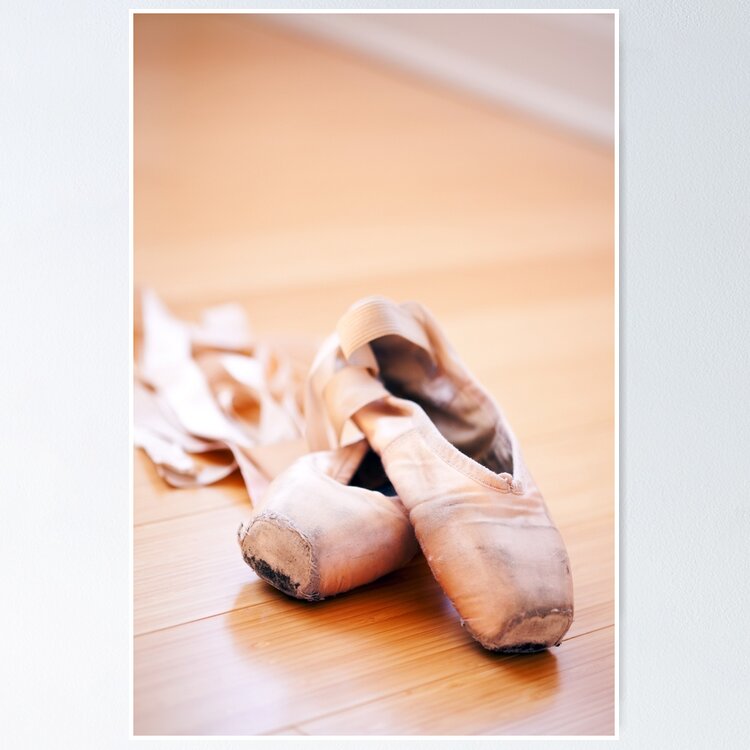 Pretty Pink Ballerina Ballet Shoes Slippers Dancer Canvas Print A4