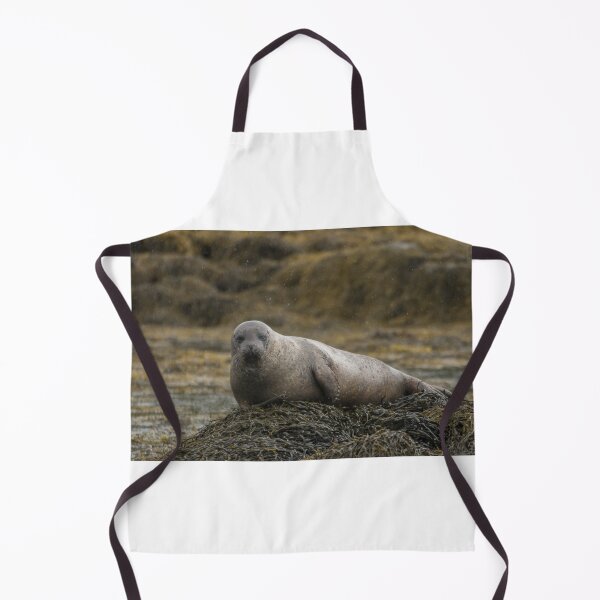 Item preview, Grey seal designed and sold by pietrofoto.