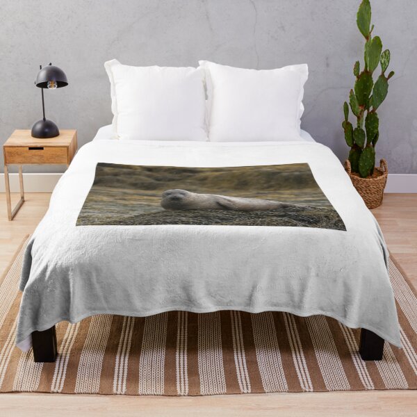 Item preview, Grey seal designed and sold by pietrofoto.