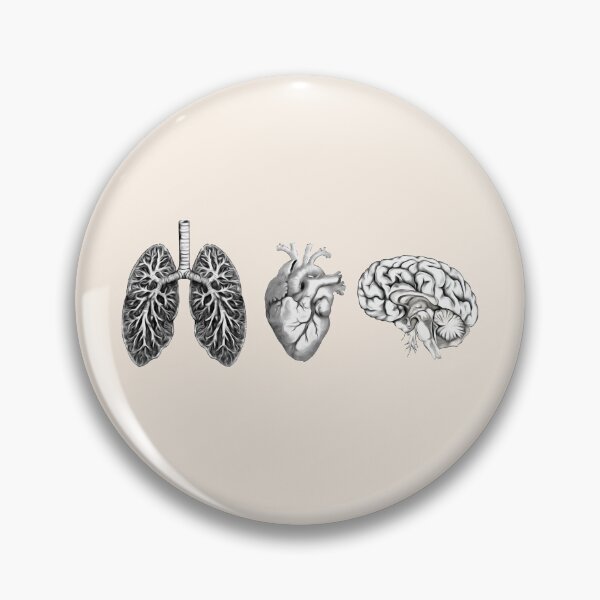 Item preview, A set of human organ, lungs, heart and brain designed and sold by Collagedream.