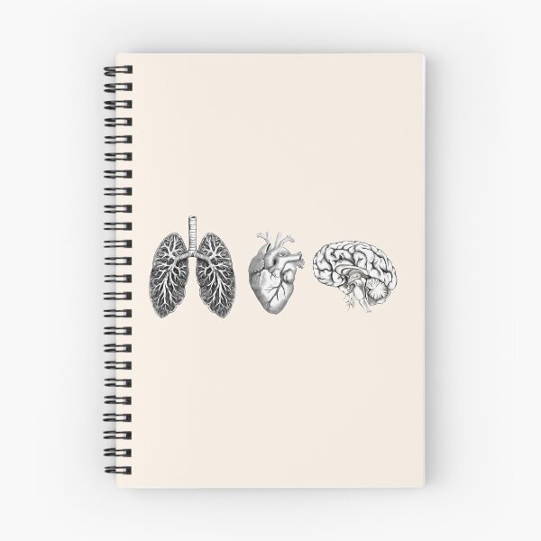 Item preview, A set of human organ, lungs, heart and brain designed and sold by Collagedream.
