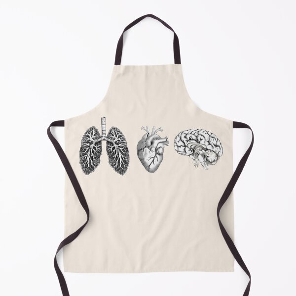 Item preview, A set of human organ, lungs, heart and brain designed and sold by Collagedream.