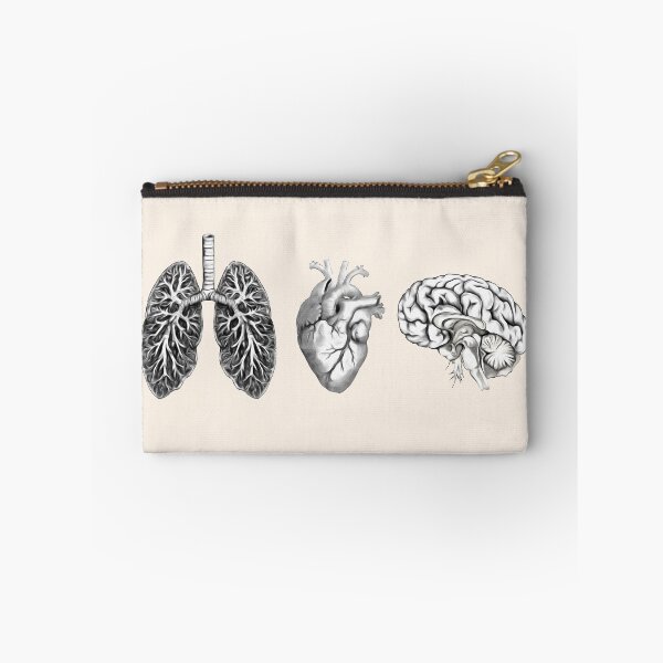 Item preview, A set of human organ, lungs, heart and brain designed and sold by Collagedream.