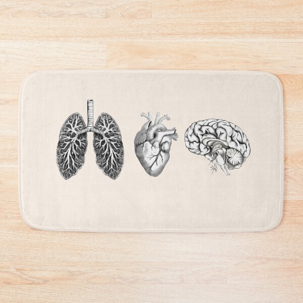 Item preview, A set of human organ, lungs, heart and brain designed and sold by Collagedream.
