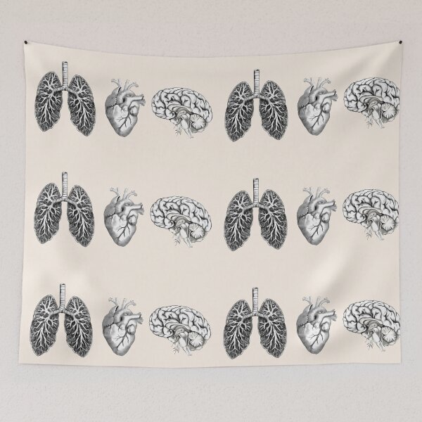 Item preview, A set of human organ, lungs, heart and brain designed and sold by Collagedream.