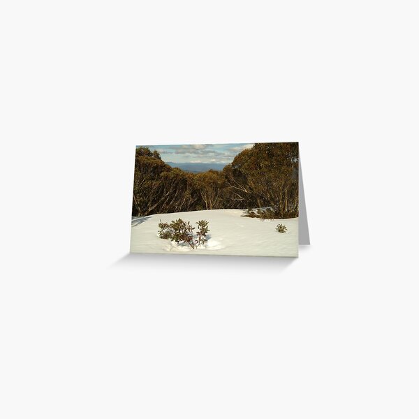 Item preview, Joe Mortelliti Gallery - Powder snow on Mt Skene, alpine Victoria, Australia. designed and sold by thisisaustralia.