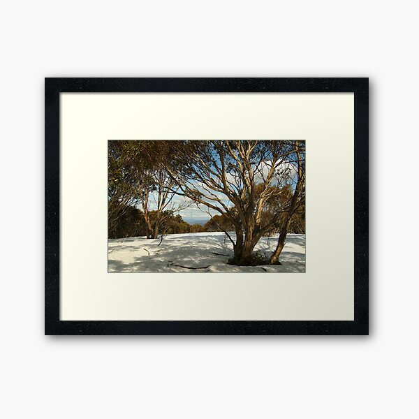 Item preview, Joe Mortelliti Gallery - Snow gums on Mt Skene, alpine Victoria, Australia. designed and sold by thisisaustralia.