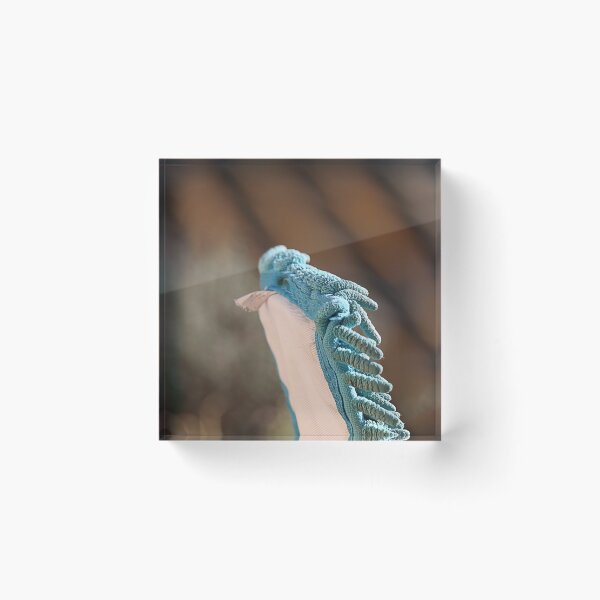Item preview, Mopping bird.  designed and sold by Paul Pasco.