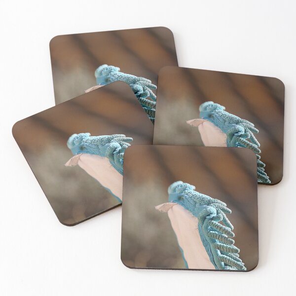 Item preview, Mopping bird.  designed and sold by Paul Pasco.