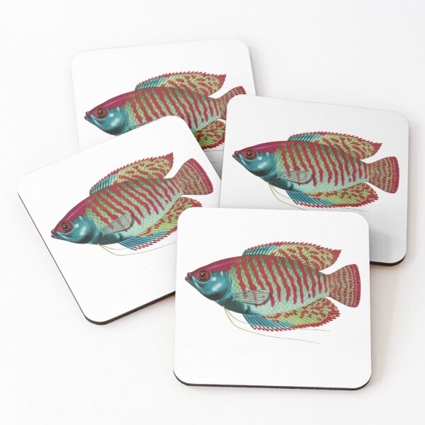 Item preview, Fish Art - Dwarf Gourami - Vintage Print designed and sold by Studio66Designs.