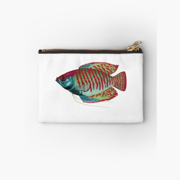 Item preview, Fish Art - Dwarf Gourami - Vintage Print designed and sold by Studio66Designs.