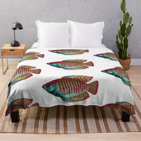 Item preview, Fish Art - Dwarf Gourami - Vintage Print designed and sold by Studio66Designs.
