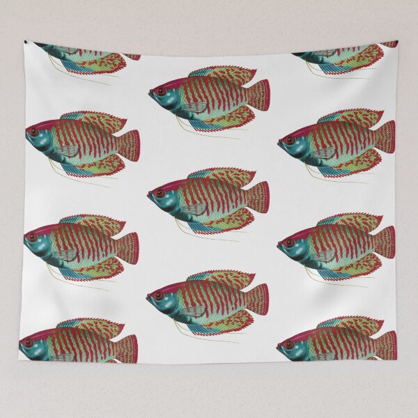 Item preview, Fish Art - Dwarf Gourami - Vintage Print designed and sold by Studio66Designs.