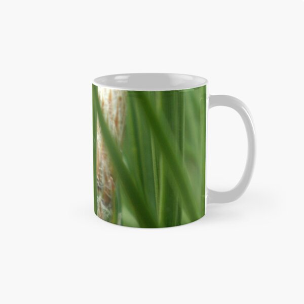 Item preview, Conos de Kyoto designed and sold by Jan Stead JEMproductions.