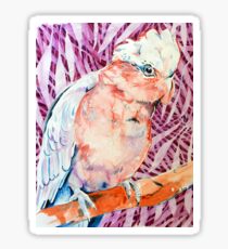 Galah Sticker
