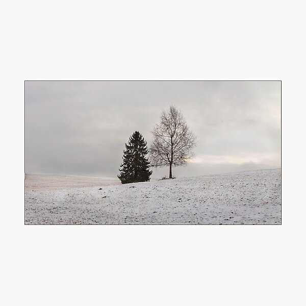 Lonely couple of trees in the field. Winter. Photographic Print