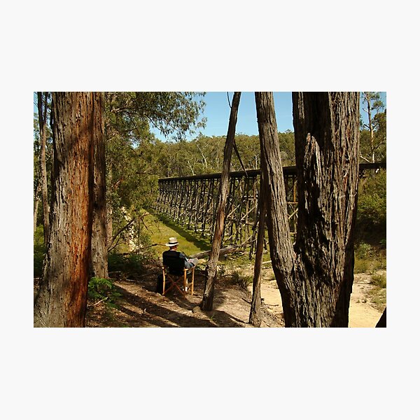 Item preview, Joe Mortelliti Gallery - Trestle rail bridge, Colquhoun State Forest, eastern Gippsland, Victoria, Australia. designed and sold by thisisaustralia.