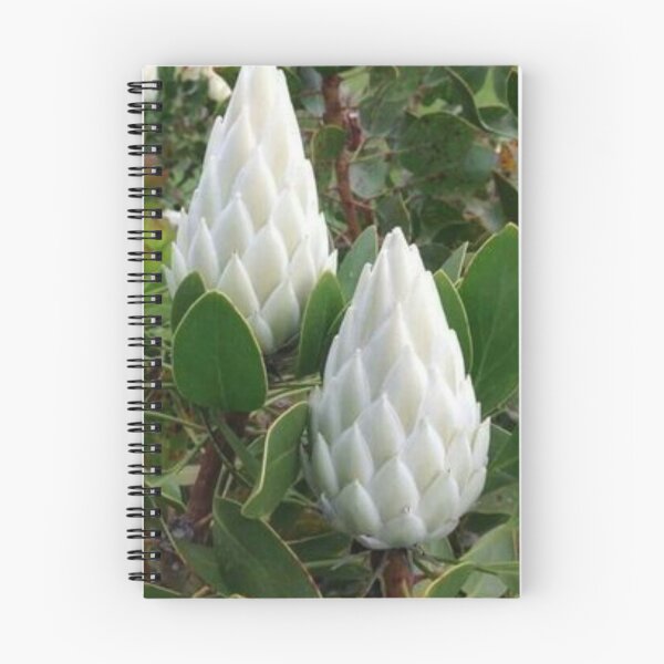 Item preview, Hermosa flor. designed and sold by Lan thi Nguyen.
