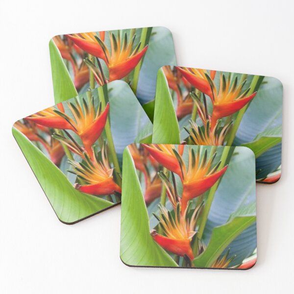 Item preview, Nice edible Canna. designed and sold by Lan thi Nguyen.
