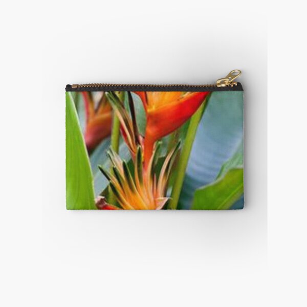 Item preview, Nice edible Canna. designed and sold by Lan thi Nguyen.