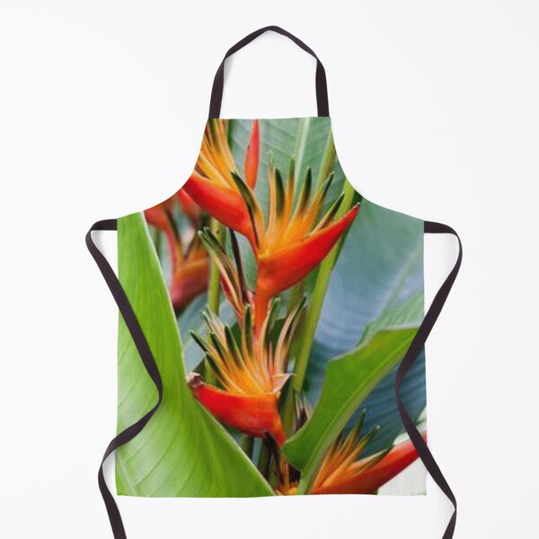 Item preview, Nice edible Canna. designed and sold by Lan thi Nguyen.