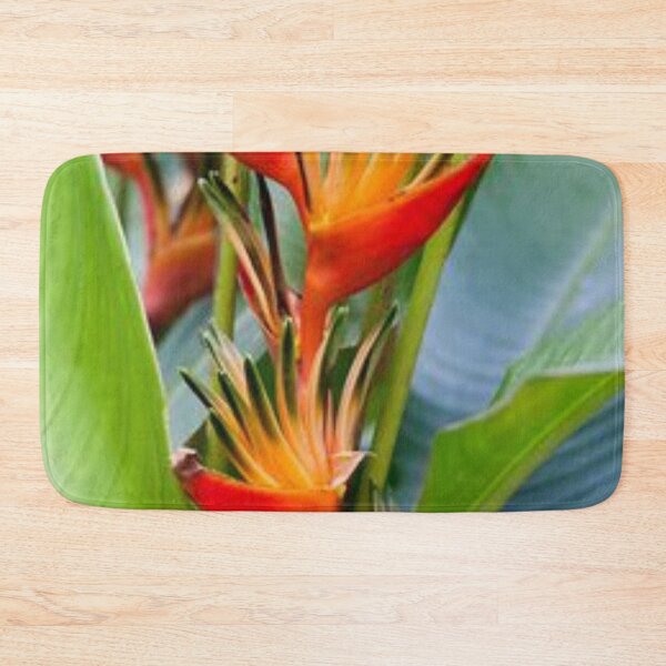 Item preview, Nice edible Canna. designed and sold by Lan thi Nguyen.