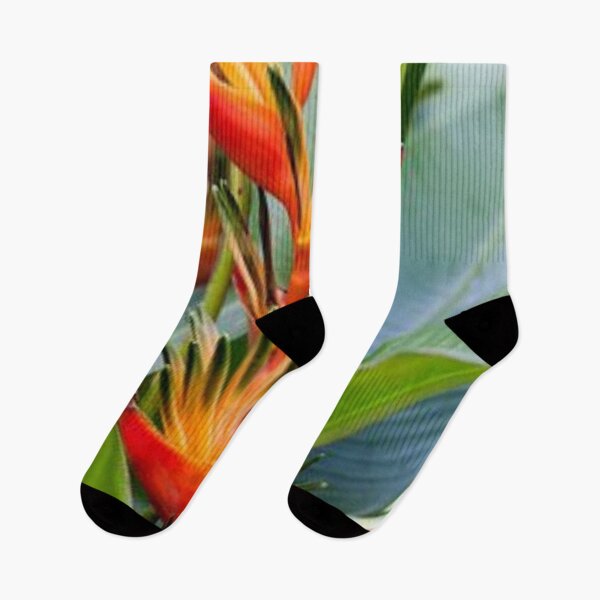 Item preview, Nice edible Canna. designed and sold by Lan thi Nguyen.