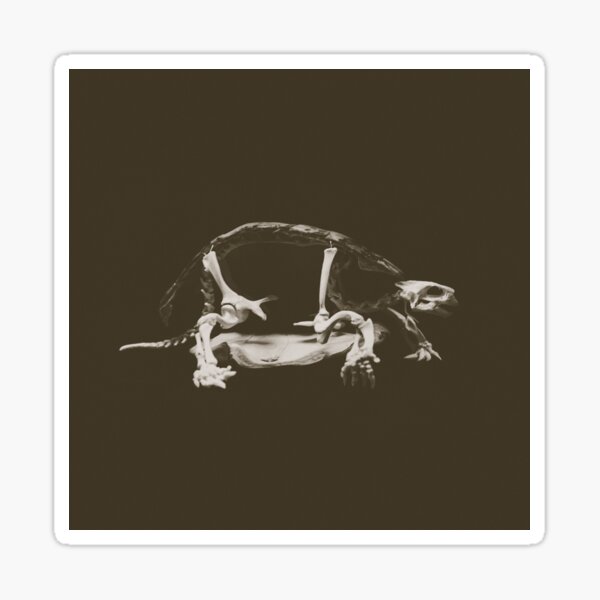 Turtle Skeleton Sticker
