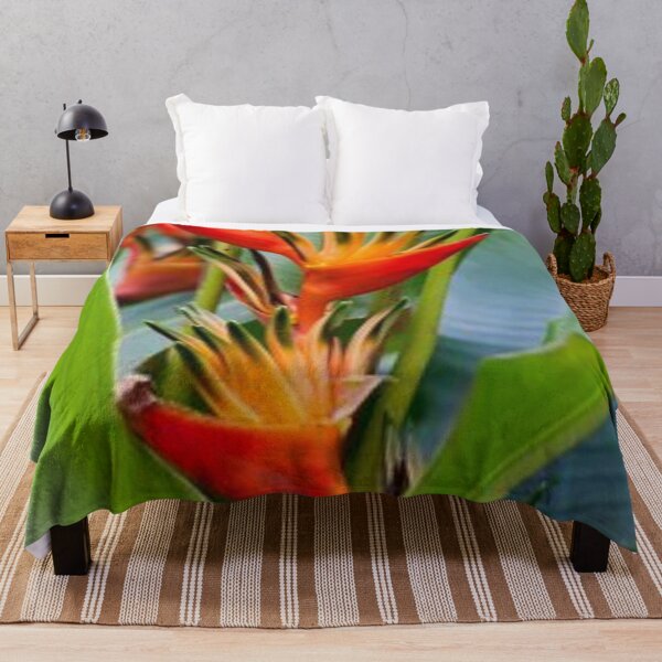 Item preview, Nice edible Canna. designed and sold by Lan thi Nguyen.