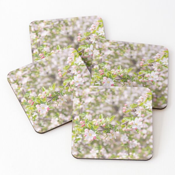 Item preview, Pastel Pink Springtime Orchard Apple Blossoms in Naramata designed and sold by Amy Mitchell.