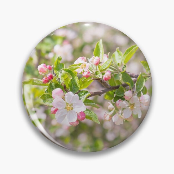 Item preview, Pastel Pink Springtime Orchard Apple Blossoms in Naramata designed and sold by Amy Mitchell.