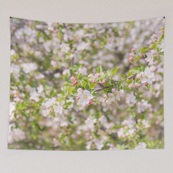 Item preview, Pastel Pink Springtime Orchard Apple Blossoms in Naramata designed and sold by Amy Mitchell.