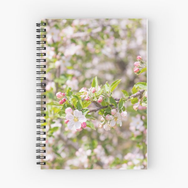 Item preview, Pastel Pink Springtime Orchard Apple Blossoms in Naramata designed and sold by Amy Mitchell.