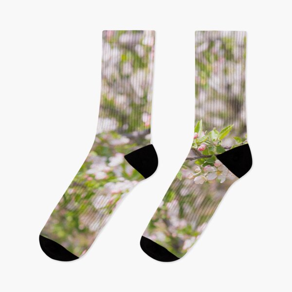 Item preview, Pastel Pink Springtime Orchard Apple Blossoms in Naramata designed and sold by Amy Mitchell.