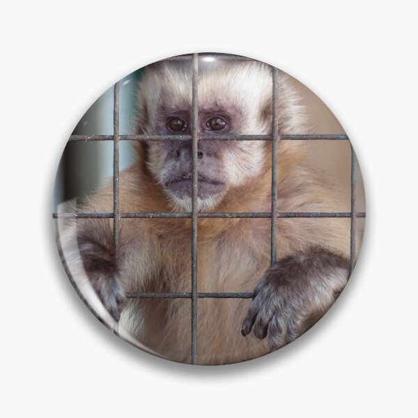 Item preview, Monkey in captivity. designed and sold by FER737NG.