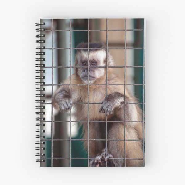 Item preview, Monkey in captivity. designed and sold by FER737NG.