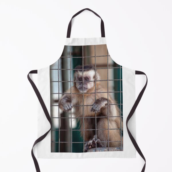 Item preview, Monkey in captivity. designed and sold by FER737NG.