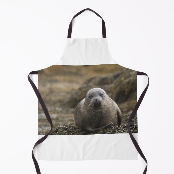 Item preview, Grey seal designed and sold by pietrofoto.