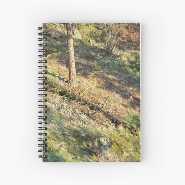 Tree Down Hillside Spiral Notebook