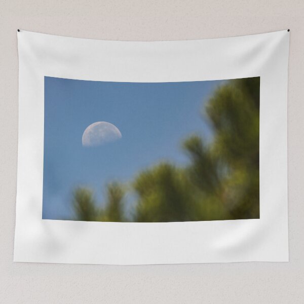 Item preview, Early Morning Moon over Pines designed and sold by Doug Greenwald.