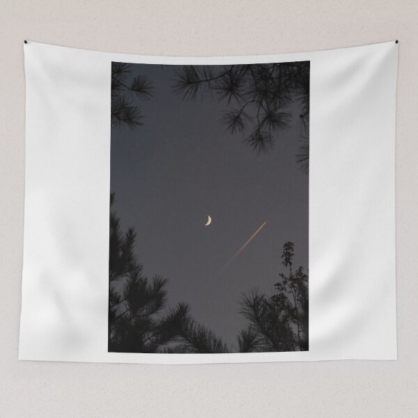 Item preview, Sunset Moon and Jet Trail designed and sold by Doug Greenwald.