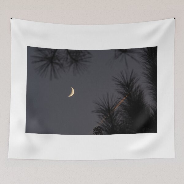 Item preview, Moon and Jet Trail in Trees designed and sold by Doug Greenwald.