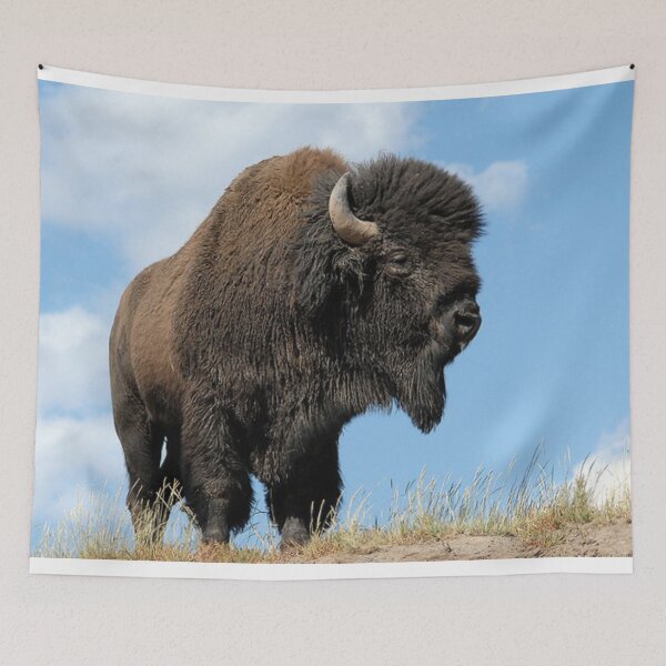 Item preview, Nice North- American Bison. designed and sold by Lan thi Nguyen.