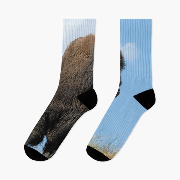 Item preview, Nice North- American Bison. designed and sold by Lan thi Nguyen.