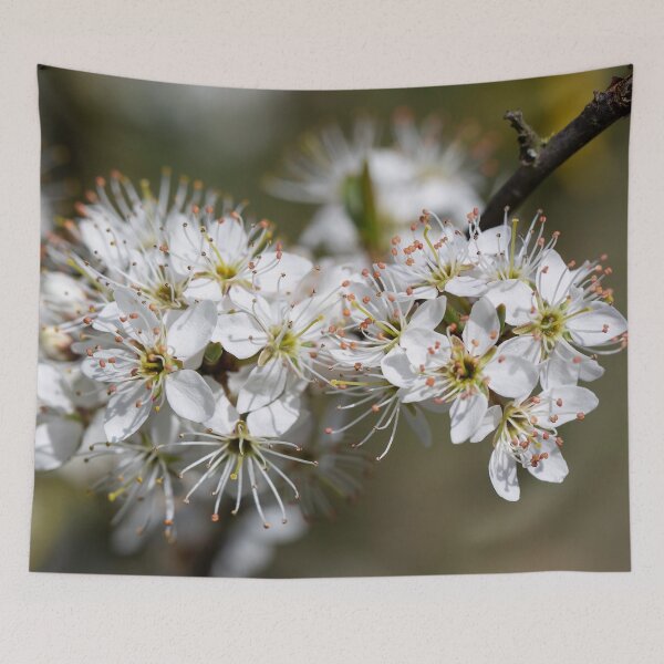 Item preview, Colours of Spring 1 designed and sold by donandhiscamera.