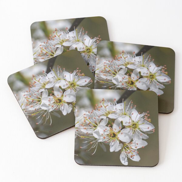 Item preview, Colours of Spring 3 designed and sold by donandhiscamera.