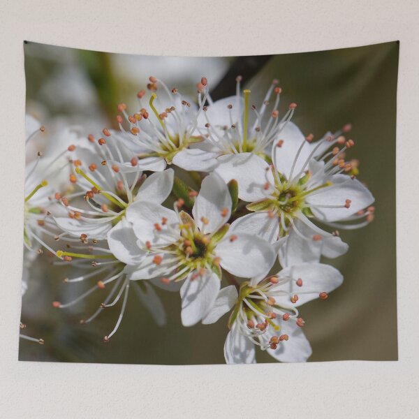 Item preview, Colours of Spring 3 designed and sold by donandhiscamera.